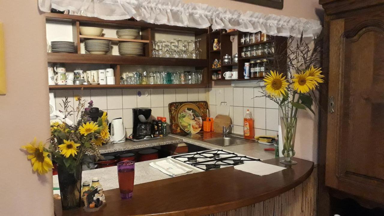 Katica Vendeghaz Somogyvar - Ladybird Villa Somogyvár Exterior foto